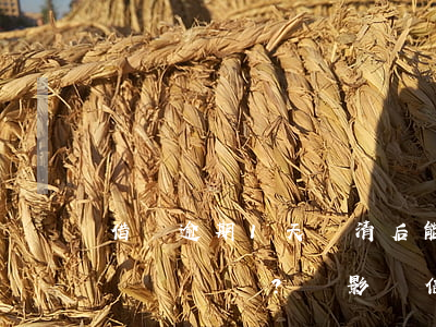 借唄逾期1天還清后，能否繼續(xù)借款？會影響信用嗎？